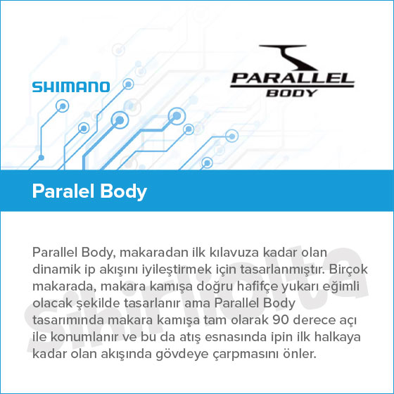 parallel body.jpg (50 KB)