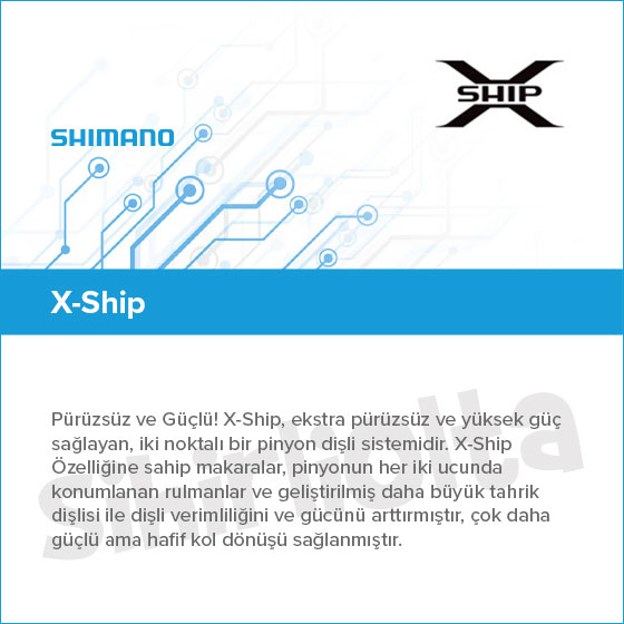 xship.jpg (50 KB)